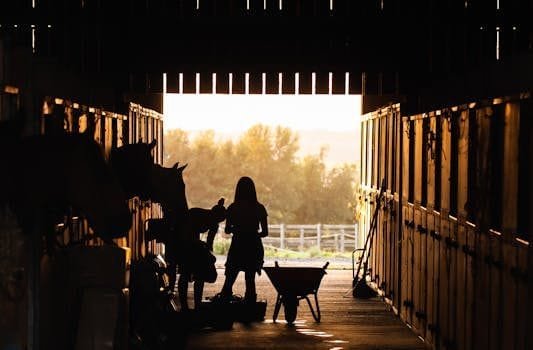 stable diffusion a fondo 3